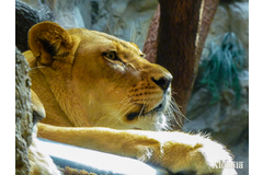 UN PENIQUE POR TUS PENSAMIENTOS